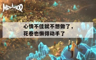 心情不佳就不想做了，花卷也懒得动手了