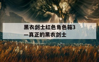 黑衣剑士红色角色箱3—真正的黑衣剑士