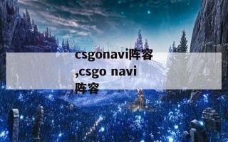 csgonavi阵容,csgo navi阵容
