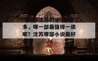 我觉得沈苏的小说那么多，哪一部最值得一读呢？沈苏哪部小说最好看