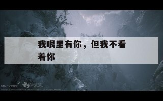 我眼里有你，但我不看着你