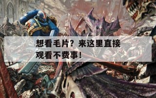 想看毛片？来这里直接观看不费事！
