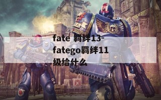 fate 羁绊13-fatego羁绊11级给什么