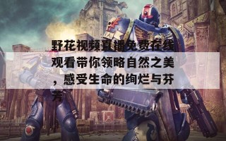 野花视频直播免费在线观看带你领略自然之美，感受生命的绚烂与芬芳