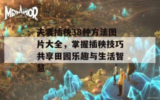 夫妻插秧38种方法图片大全，掌握插秧技巧共享田园乐趣与生活智慧