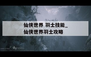 仙侠世界 羽士技能_仙侠世界羽士攻略