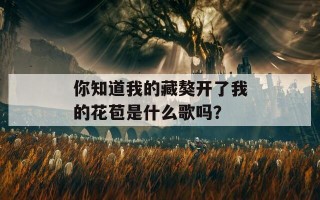 你知道我的藏獒开了我的花苞是什么歌吗？