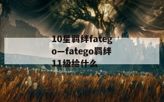 10星羁绊fatego—fatego羁绊11级给什么