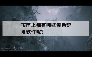 市面上都有哪些黄色禁用软件呢？