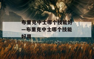 布里克中士哪个技能好—布里克中士哪个技能好用