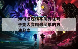 如何通过科学饲养让鸡子变大变粗最简单的方法分享