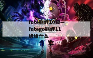 fate羁绊10级—fatego羁绊11级给什么