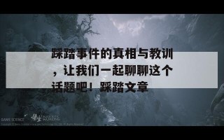 踩踏事件的真相与教训，让我们一起聊聊这个话题吧！踩踏文章