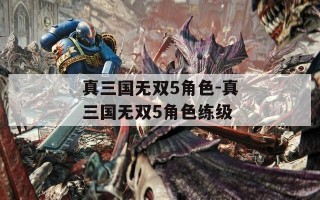 真三国无双5角色-真三国无双5角色练级