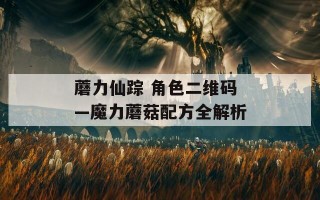 蘑力仙踪 角色二维码—魔力蘑菇配方全解析