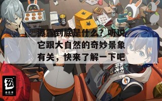 瀑露到底是什么？听说它跟大自然的奇妙景象有关，快来了解一下吧！