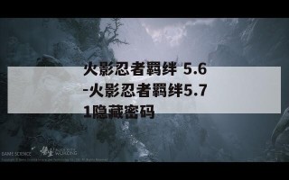 火影忍者羁绊 5.6-火影忍者羁绊5.71隐藏密码