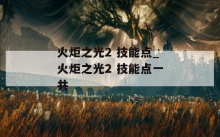火炬之光2 技能点_火炬之光2 技能点一共