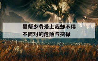 黑帮少爷爱上我却不得不面对的危险与抉择