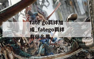 fate go羁绊加成_fatego羁绊有什么用