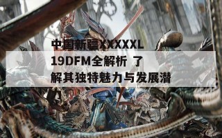 中国新疆XXXXXL19DFM全解析 了解其独特魅力与发展潜力