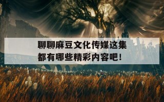 聊聊麻豆文化传媒这集都有哪些精彩内容吧！