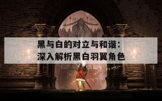 黑与白的对立与和谐：深入解析黑白羽翼角色