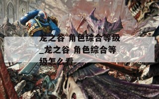 龙之谷 角色综合等级_龙之谷 角色综合等级怎么看
