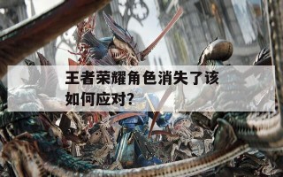 王者荣耀角色消失了该如何应对？