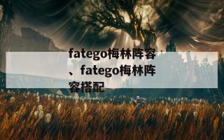 fatego梅林阵容、fatego梅林阵容搭配