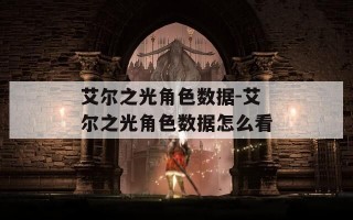 艾尔之光角色数据-艾尔之光角色数据怎么看