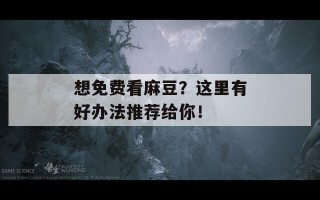 想免费看麻豆？这里有好办法推荐给你！