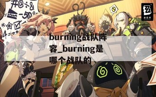 burning战队阵容_burning是哪个战队的