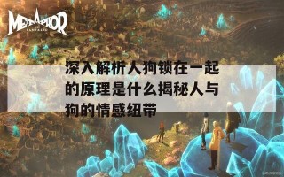 深入解析人狗锁在一起的原理是什么揭秘人与狗的情感纽带