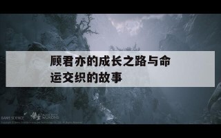 顾君亦的成长之路与命运交织的故事