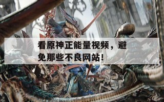 看原神正能量视频，避免那些不良网站！