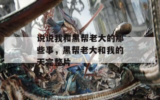 说说我和黑帮老大的那些事，黑帮老大和我的天完整片
