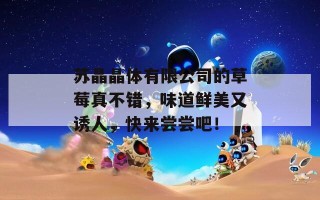 苏晶晶体有限公司的草莓真不错，味道鲜美又诱人，快来尝尝吧！