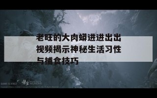 老旺的大肉蟒进进出出视频揭示神秘生活习性与捕食技巧