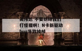 英伟达 不要妨碍我们打怪猎啊！N卡新驱动bug导致掉帧