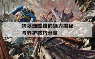 狗茎蝴蝶结的魅力揭秘与养护技巧分享