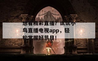 想看精彩直播？试试小鸟直播电视app，轻松掌握好节目！