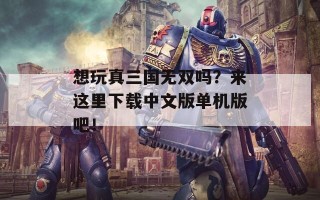 想玩真三国无双吗？来这里下载中文版单机版吧！
