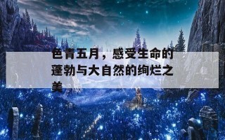 色青五月，感受生命的蓬勃与大自然的绚烂之美