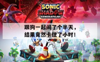 跟狗一起闹了个半天，结果竟然卡住了小时！