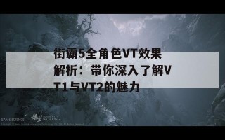 街霸5全角色VT效果解析：带你深入了解VT1与VT2的魅力