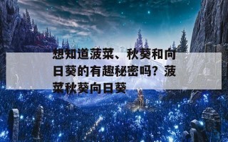 想知道菠菜、秋葵和向日葵的有趣秘密吗？菠菜秋葵向日葵
