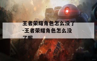 王者荣耀角色怎么没了-王者荣耀角色怎么没了呢