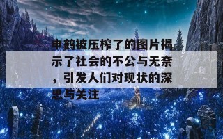 申鹤被压榨了的图片揭示了社会的不公与无奈，引发人们对现状的深思与关注