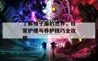 了解柚子猫的世界，日常护理与养护技巧全攻略